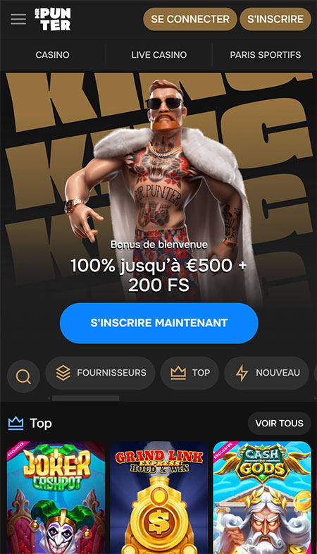 version mobile mrpuntercasino